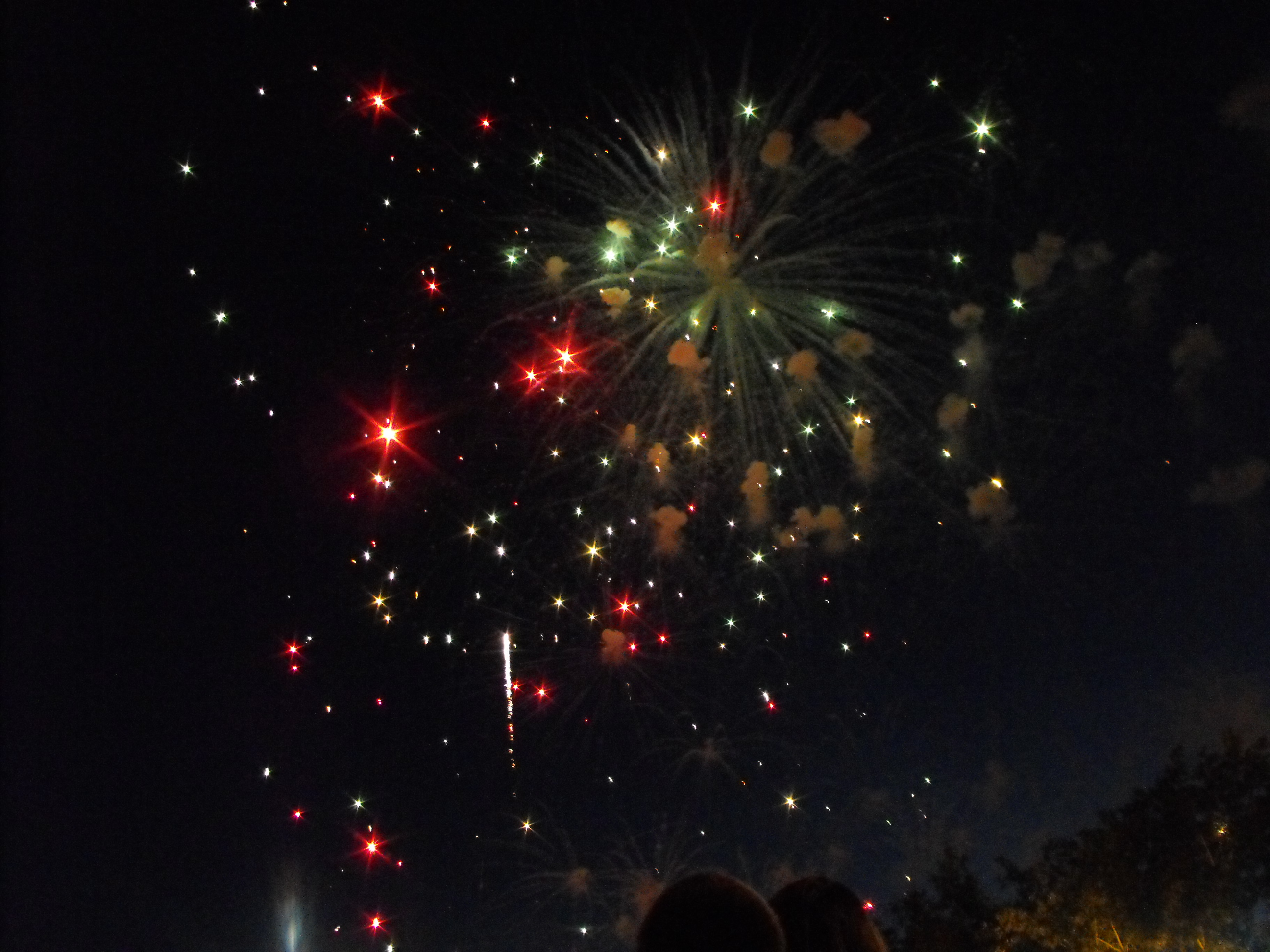 ./2010/Fourth of July/4th July Fireworks Wilm 0007.JPG